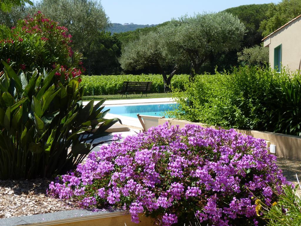 Residence Les Sellettes Saint-Tropez Dış mekan fotoğraf