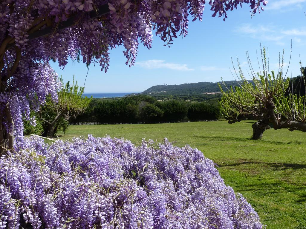 Residence Les Sellettes Saint-Tropez Dış mekan fotoğraf